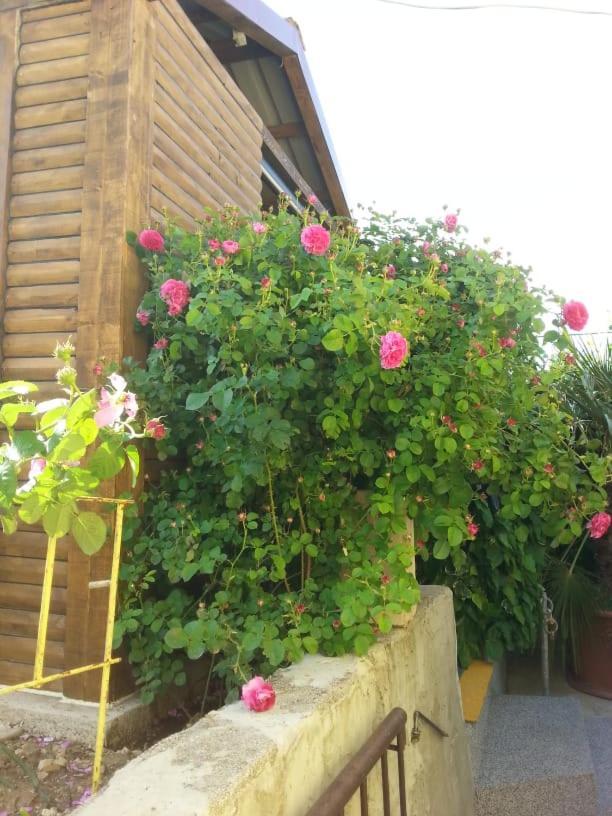 Kaštela Apartments Toni With Free Parking מראה חיצוני תמונה